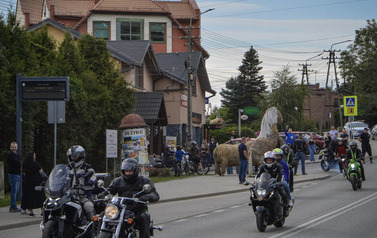 IX Marklowicki Zlot Motocyklowy 42