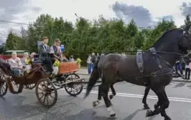 33-DSC_3701