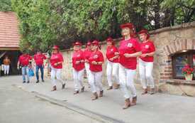 Piknik Seniorzy Razem 8