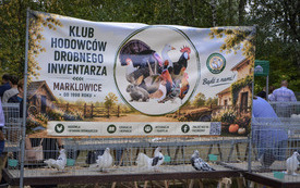 XXXII Dożynki Gminne w Marklowicach 23