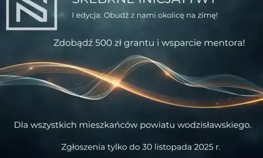 Na ciemnym tle srebrzyste, falowane linie, niektóre jasne i świetliste, logo stowarzyszenia 'Srebrne Nici' oraz informacja o prowadzonej inicjatywie 