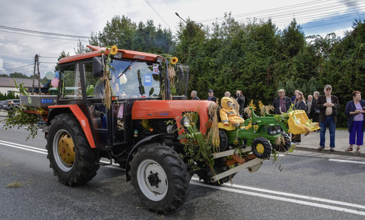 Czerwony traktor przyozdobiony na dożynki w słoneczniki, gałązki brzozy, liście kukurydzy i snopki zboża, wiezie przed sobą mały zabawkowy traktorek dziecięcy z misiem w żółtej pelerynie, na chodniku grupa obserwujących korowód osób